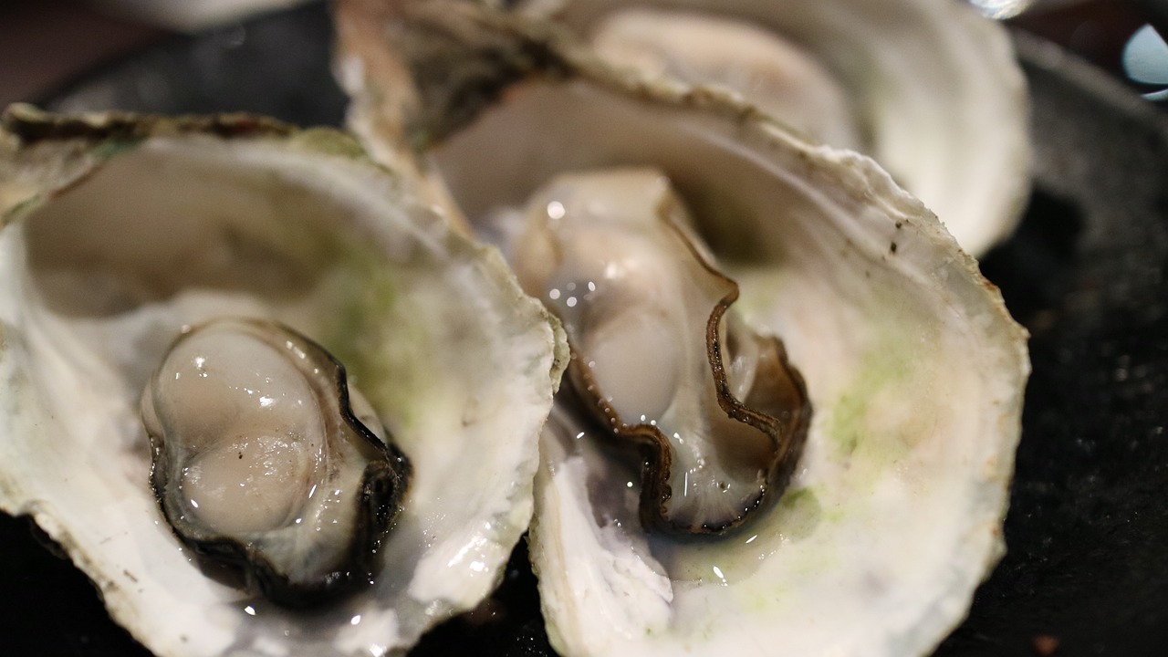 oyster, oysters, shell-989179.jpg