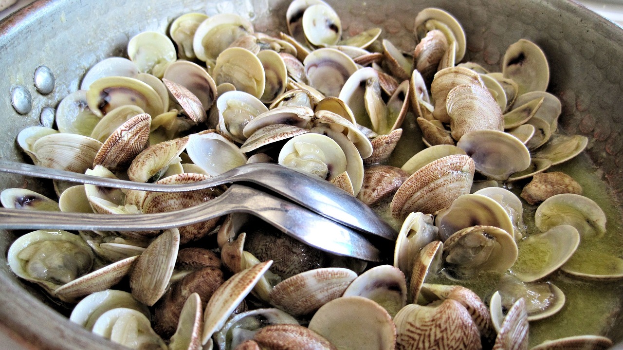 steamed clams, fresh, fish-603110.jpg