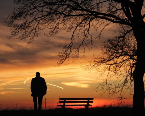 sunset, tree, silhouette-3156176.jpg